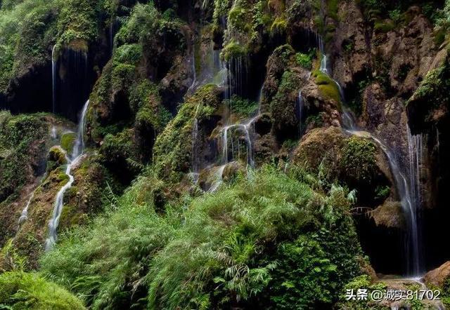 救援水管工