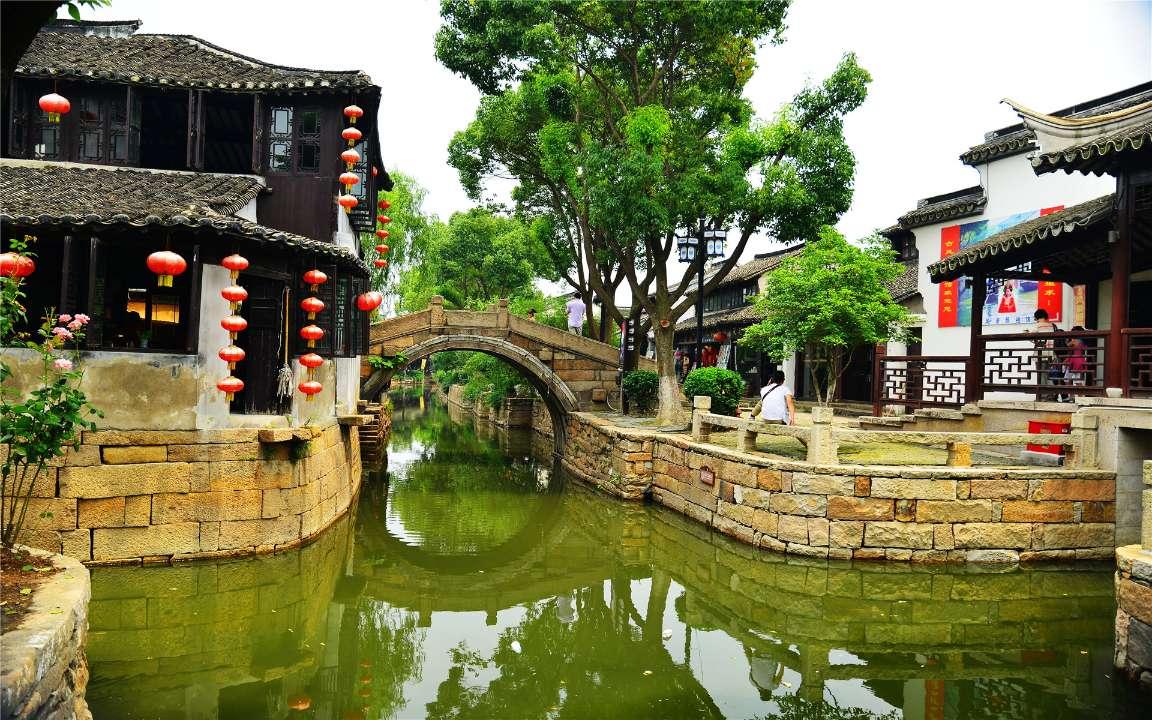 吃金币的猫